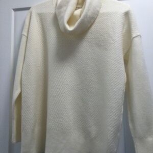 Gorgeous Max Studio 100% Fine Merino Wool Turtleneck
